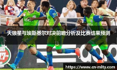 天狼星与埃斯基尔对决前瞻分析及比赛结果预测